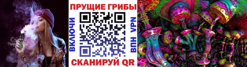 Галлюциногенные грибы GOLDEN TEACHER  наркотики  Юрга 