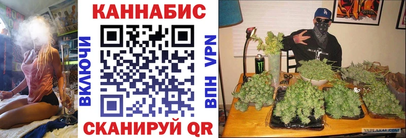 что такое наркотик  Юрга  Канабис ГИДРОПОН 